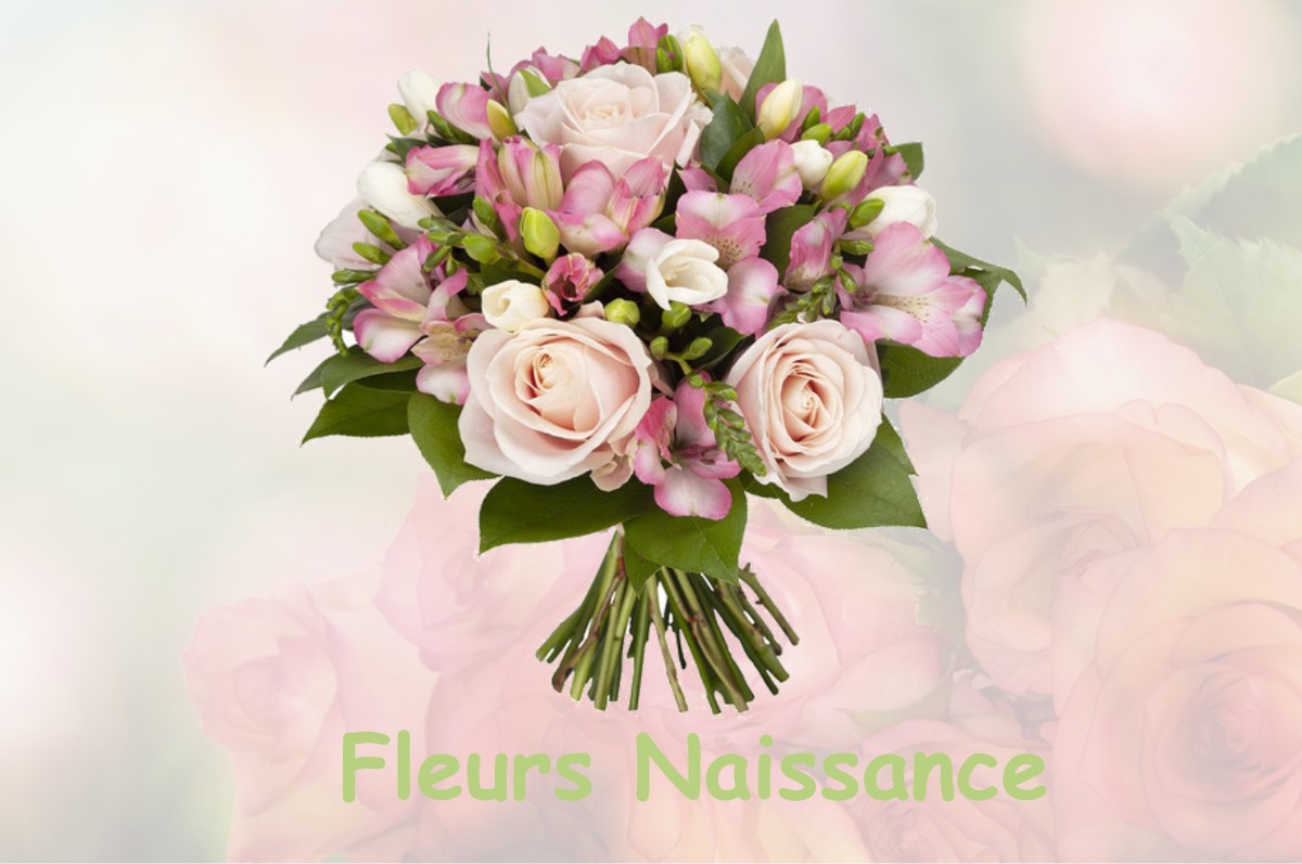 fleurs naissance BROUENNES